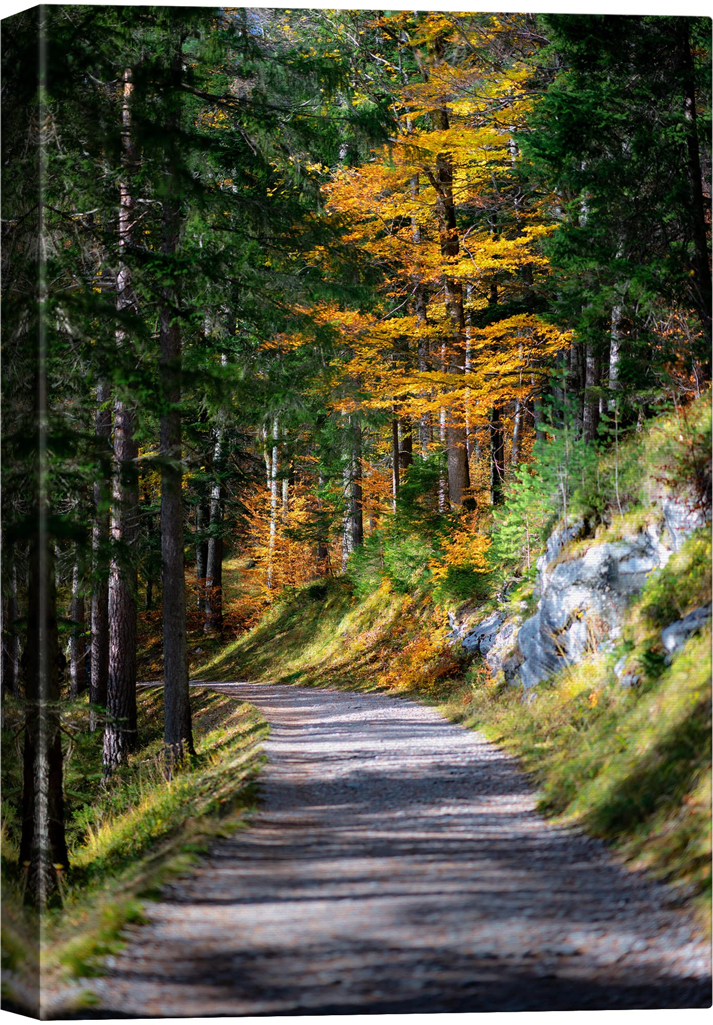 AllPosters.com 森の道　Forest Path (Canvas) Forest Pathway Poster with Serene Pathway | Poster Store US